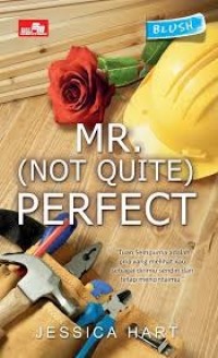 Image of MR. (Not Quite) Perfect